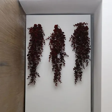 Nel Vicoletto Couette-café Cassano delle Murge