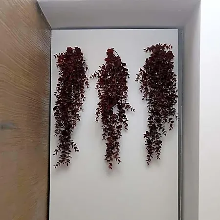 Nel Vicoletto 4*